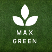 Рулонний газон від компанії MaxGreen