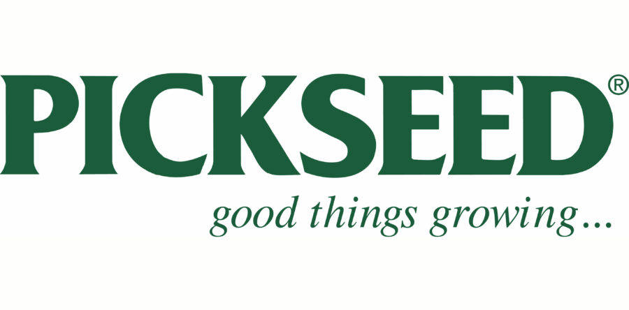 Pickseed – рулонный газон