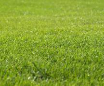 image_1